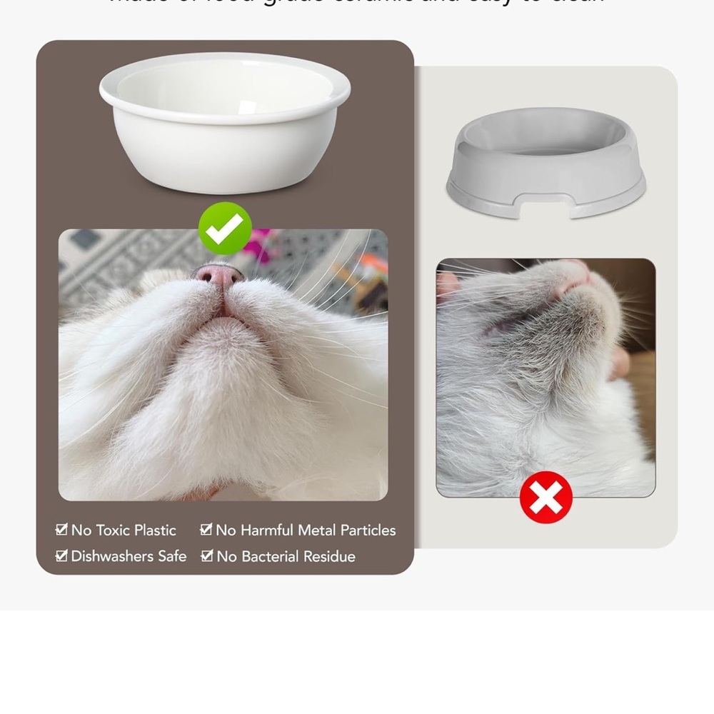 Ceramic Cat Bowl - White